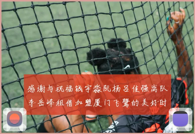感谢与祝福钱宇淼阮杨吕佳强离队李岳峰租借加盟厦门飞鹭的美好时刻