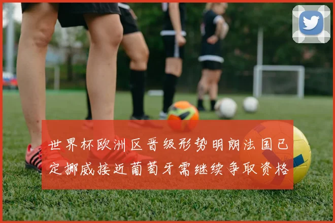 世界杯欧洲区晋级形势明朗法国已定挪威接近葡萄牙需继续争取资格