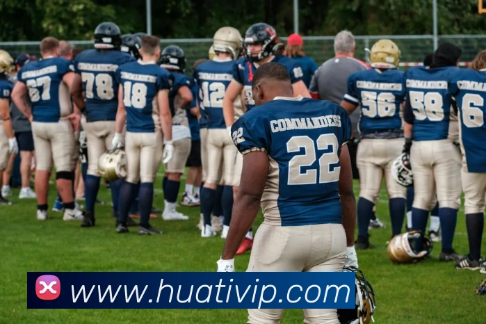 华体会体育平台生态图