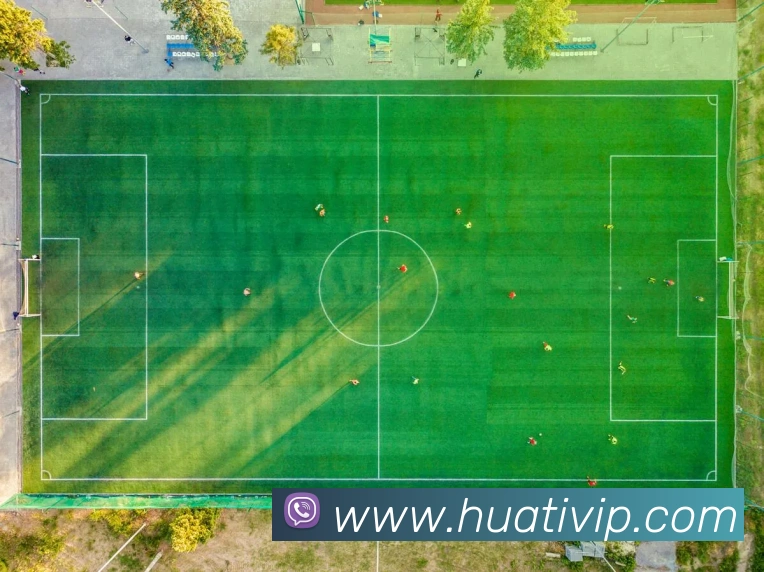 华体会体育APP 封面图